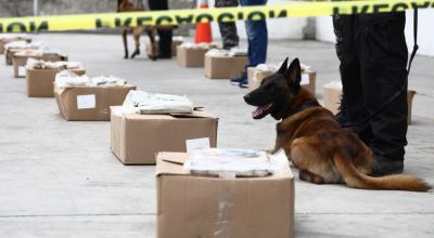 Imagen referencial de un decomiso de droga en la zona portuaria del sur de Guayaquil. 