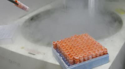 Un investigador científico manipula células madre embrionarias congeladas en un laboratorio, en el centro de investigación del genoma humano de la Universidad de Sao Paulo, Brasil, el 4 de marzo de 2008. 