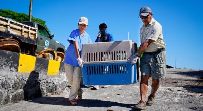 Guardaparques de Galápagos en un operativo el 6 de marzo de 2024.