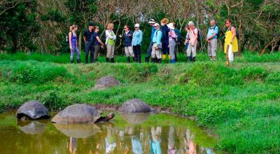 Turistas extranjeros observan tortugas gigantes en Galápagos, Ecuador.
