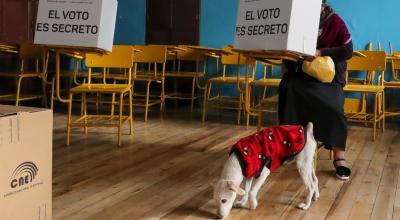Una persona vota junta a su  mascota en un recinto electoral en Quito, el 21 de abril de 2024.