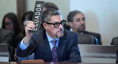 El vicecanciller encargado de Ecuador, Alejandro Dávalos, participó el 10 de abril de 2024 en la sesión extraordinaria del Consejo Permanente de la OEA, para tratar el asalto a la Embajada de México en Quito.