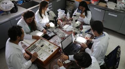 Imagen referencial de estudiantes en una universidad de Ecuador.