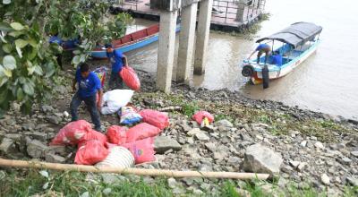 22.000 sacos de basura plástica se recogió en el manglar.