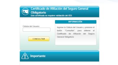 Captura del portal web del IESS. 