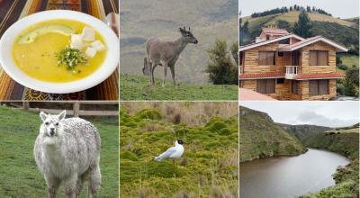 Turismo en Quito