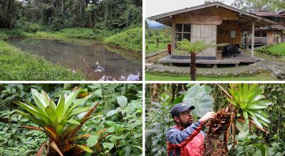 Reserva Ecológica Hemisferios, el 1 de marzo de 2023 en la provincia amazónica de Napo (Ecuador), a tres horas de Quito.