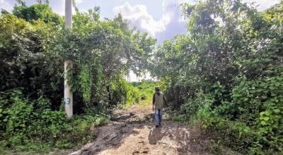 Vista de una trocha abierta por personal militar al norte del recinto Don Lucas (Bajada de Chanduy), en predios en donde se construirá nueva cárcel en la provincia de Santa Elena. 