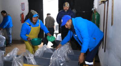 Personas trabajando con pescados, 6 de junio de 2024.