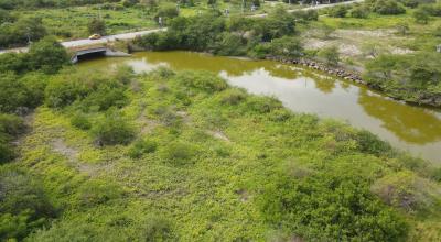 Una extensión del estero Oloncito, en Santa Elena, es el centro de una polémica entre los comuneros y la empresa Vinazin S.A. 