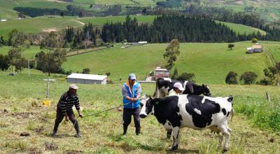 Crianza de ganado. Foto Ministerio de Agricultura, del 2024.