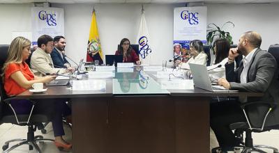 El Consejo de Participación Ciudadana, durante la polémica sesión del 10 de julio de 2024.