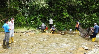 Trabajadores realizan un monitoreo en la concesión minera Cascabel.