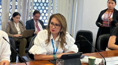 La asambleísta Nataly Morillo durante una sesión de la Comisión de Educación de la Asamblea, este 17 de julio.