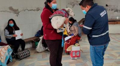 En Quito se realizará masiva jornada de esterilización para conmemorar el Día del Perro