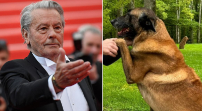 El fallecido actor Alain Delon Loubo y su perro pastor belga malinois llamado 'Loubo'.