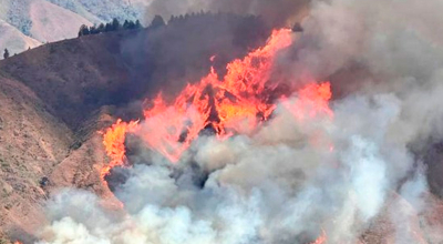 Loja: Nuevo incendio forestal en Quilanga consume 40 hectáreas de bosque