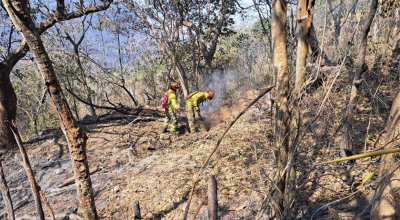 Bomberos trabajan en el incendio forestal en Quilanga, Loja, el 29 e agosto de 2024.