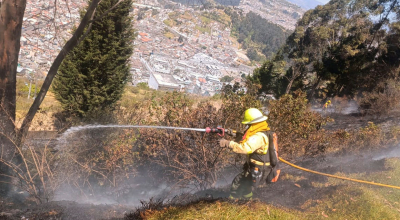 Más riesgo de incendios forestales: Inamhi advierte por fuerte radiación y ráfagas de viento en Ecuador