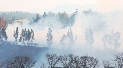 Incendio forestal en Pifo, sector cercano al Aeropuerto de Quito, este 4 de septiembre de 2024.