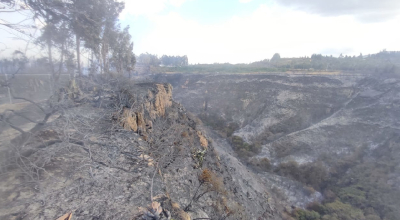 Requieren apoyo de Policía para identificar a responsables de incendios forestales en Quito