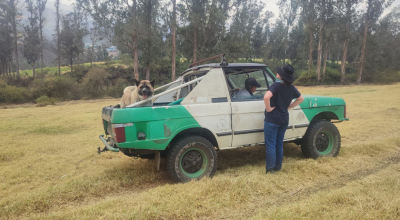 Siete consejos para cuidar a sus mascotas en los incendios forestales de Quito