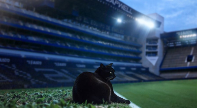 Garra, ese es el nombre que le pusieron en Emelec al gato que apareció en el duelo ante Orense.