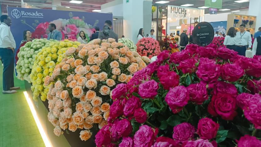 expo flor ecuador 2024