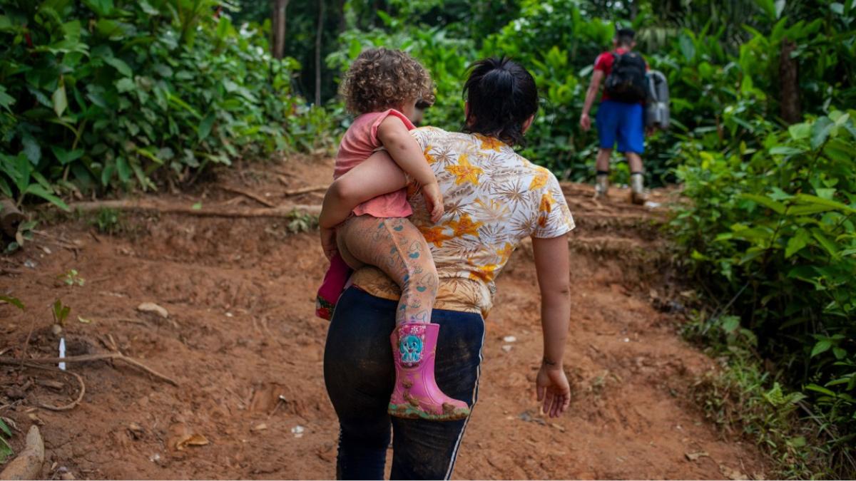 La selva del Darién, fronteriza entre Colombia y Panamá, no siempre fue un  paso irregular para migrantes. En realidad es una jungla intransitable,  pero única por su biodiversidad. En 1981 fue declarada Reserva de la  Biosfera por la Unesco.