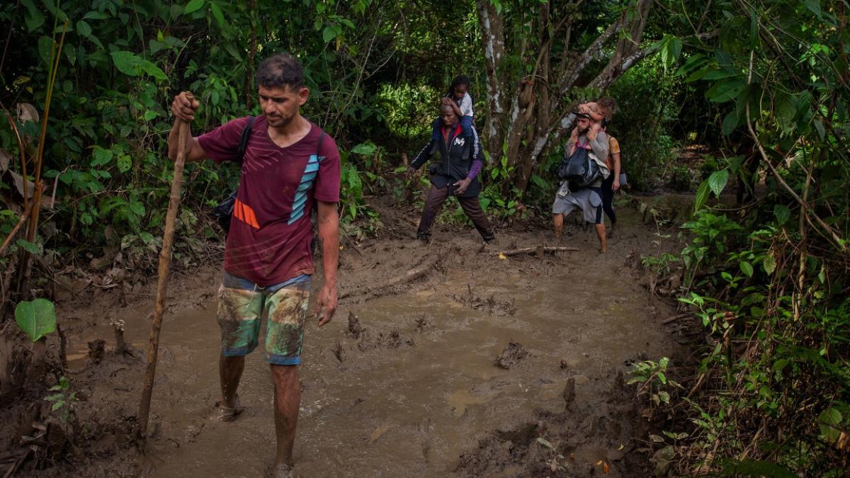 La selva del Darién, fronteriza entre Colombia y Panamá, no siempre fue un  paso irregular para migrantes. En realidad es una jungla intransitable,  pero única por su biodiversidad. En 1981 fue declarada Reserva de la  Biosfera por la Unesco.